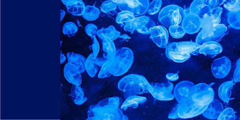 品牌代表色怎麼選擇?3個步驟搞定你的色彩搭配! 色彩對品牌影響 冷色調 藍色 品牌代表色