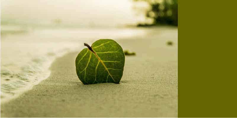 品牌代表色怎麼選擇?3個步驟搞定你的色彩搭配! 色彩對品牌影響 冷色調 綠色 品牌代表色