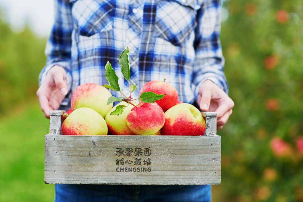 承馨果園 LOGO設計 形象設計 品牌設計 商標設計