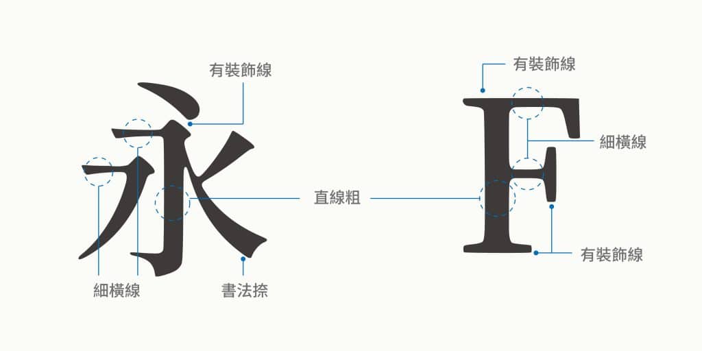 有裝飾線-明體、襯線體的演示：有裝飾線、細橫線粗直線，縱橫線條粗細不等，提升單詞辨識度