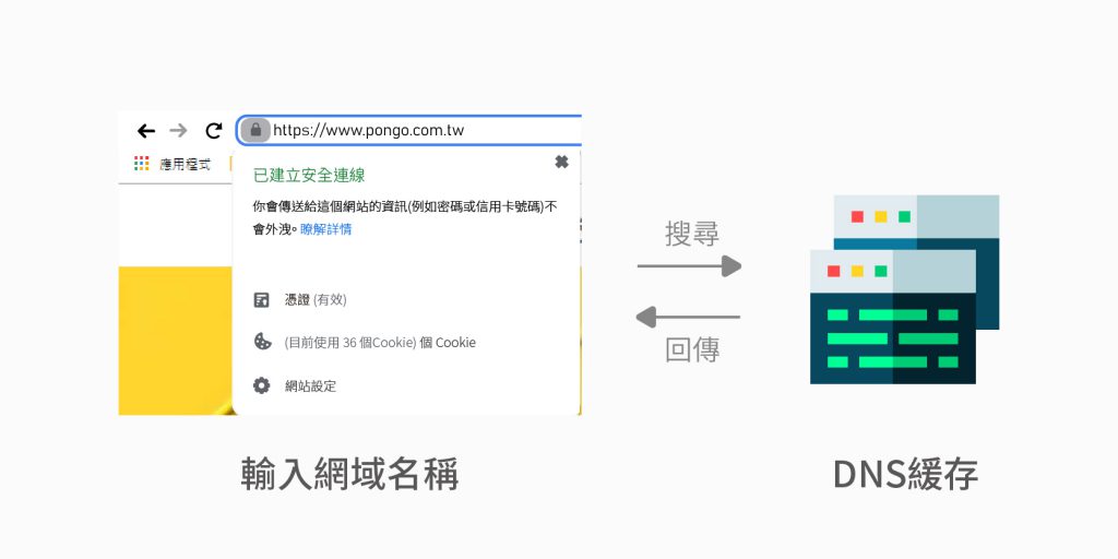 DNS伺服器運行第一步：搜索DNS站存有沒有紀錄