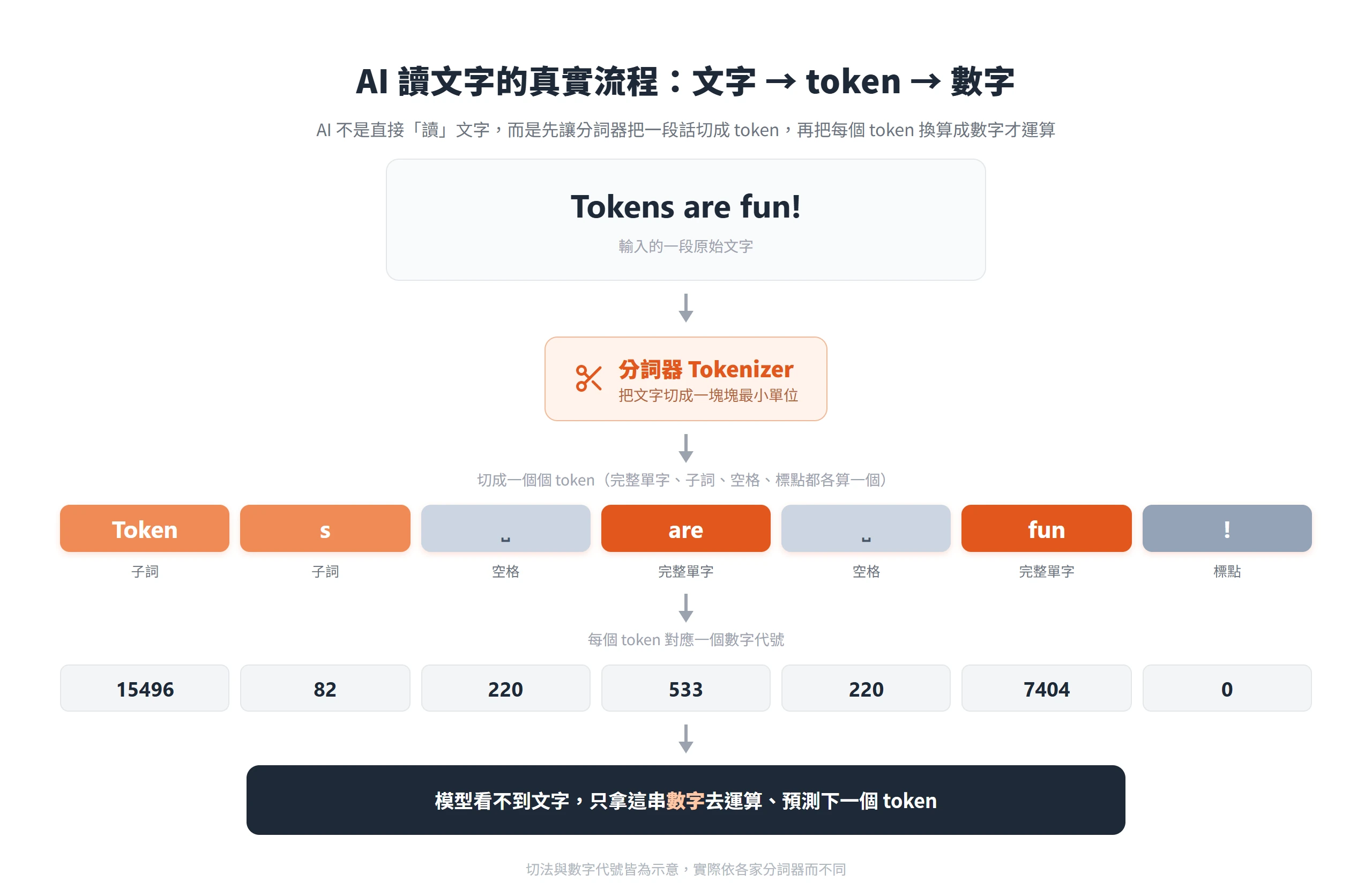 分詞器先把一段文字切成 token，再把每個 token 換算成數字，模型只拿數字運算