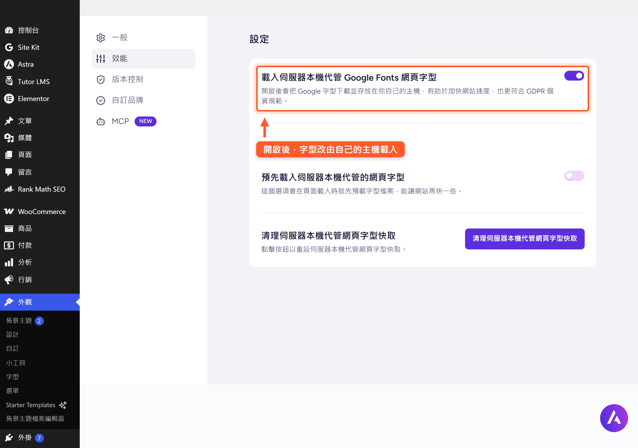 Astra 效能設定中的「載入伺服器本機代管 Google Fonts」開關已開啟,字型改由自己的主機載入