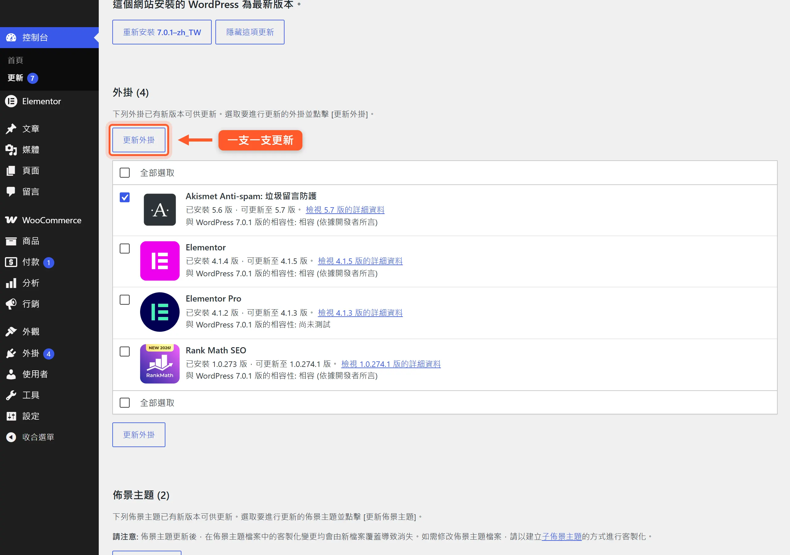 WordPress 更新頁的外掛清單,每支外掛各有獨立勾選框,可以一次只勾一支、逐一更新