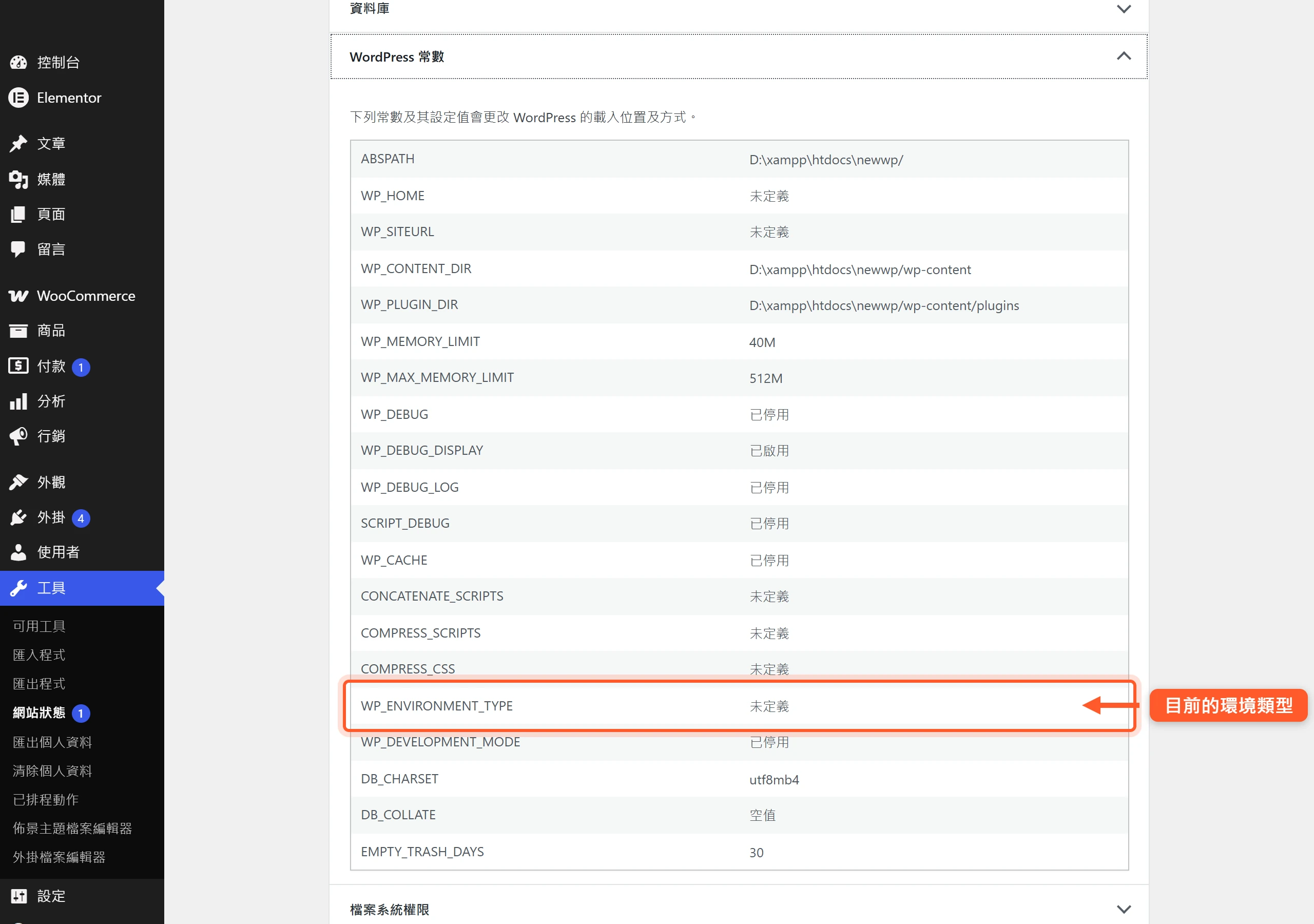 WordPress 網站健康的 WordPress 常數區塊,列出 WP_ENVIRONMENT_TYPE、WP_DEBUG、WP_MEMORY_LIMIT 等常數目前生效的值