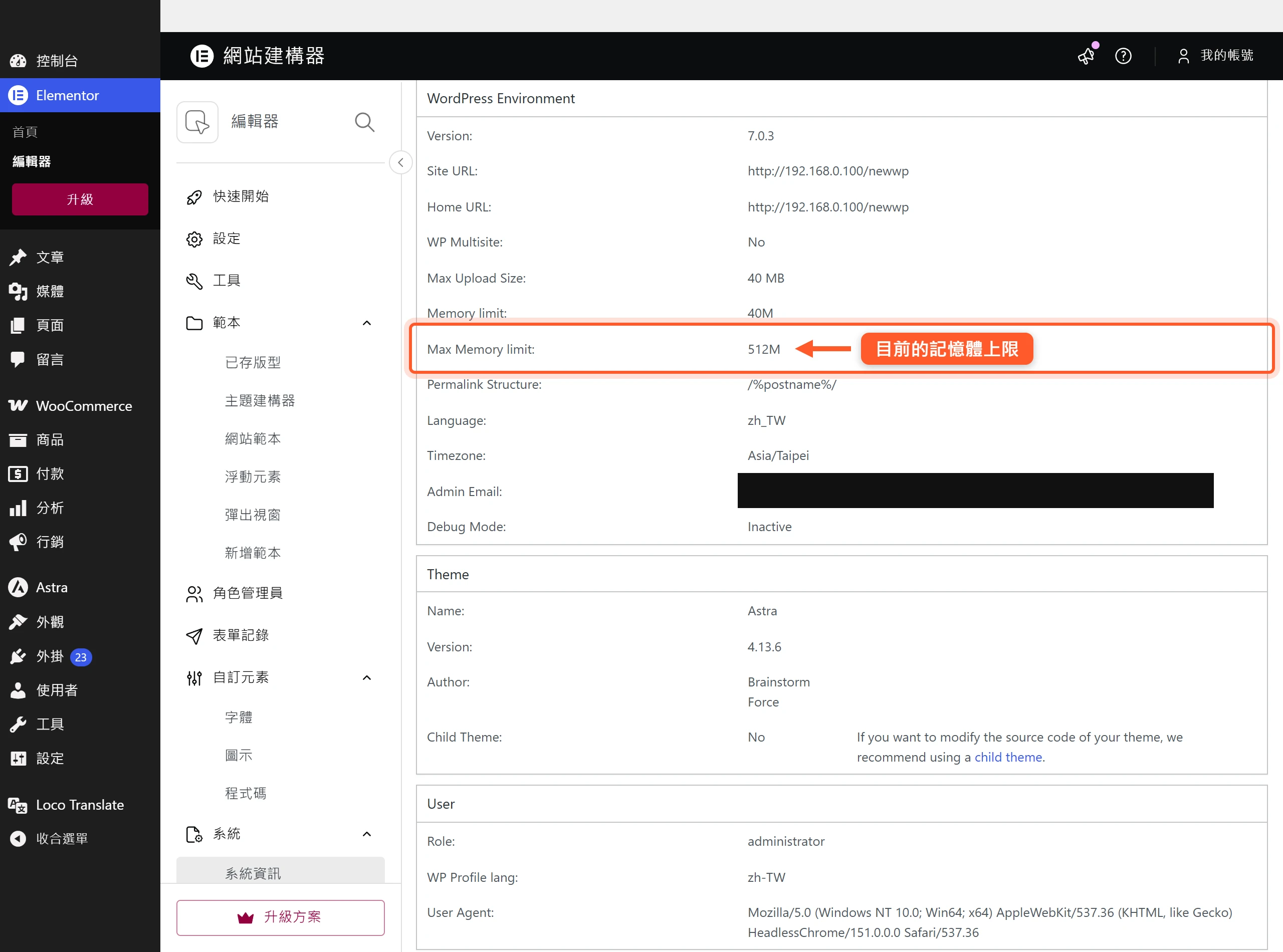 在 Elementor 系統資訊的 WordPress Environment 區塊,Max Memory limit 顯示目前分配到的記憶體上限
